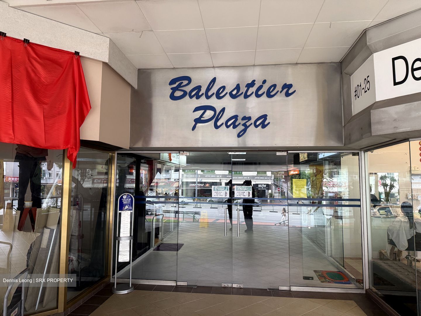Balestier Plaza (D12), Apartment #598293611